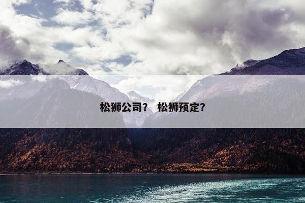 松狮公司？ 松狮预定？