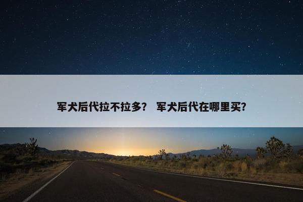 军犬后代拉不拉多? 军犬后代在哪里买?