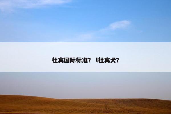 杜宾国际标准? l杜宾犬?