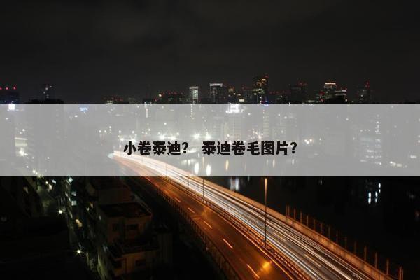 小卷泰迪？ 泰迪卷毛图片？