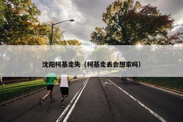 沈阳柯基走失（柯基走丢会想家吗）