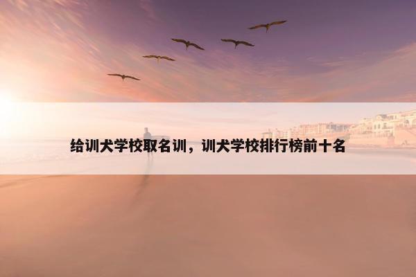 给训犬学校取名训，训犬学校排行榜前十名