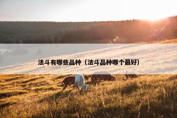 法斗有哪些品种（法斗品种哪个最好）