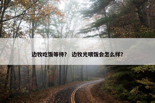 边牧吃饭等待？ 边牧光喂饭会怎么样？