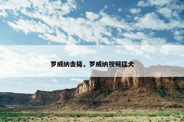 罗威纳击毙，罗威纳视频猛犬