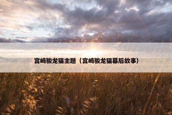 宫崎骏龙猫主题（宫崎骏龙猫幕后故事）