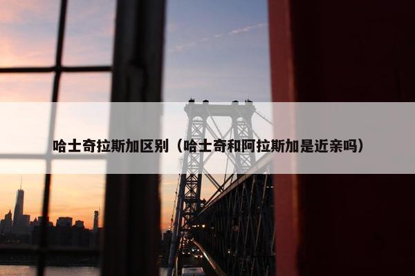 哈士奇拉斯加区别（哈士奇和阿拉斯加是近亲吗）