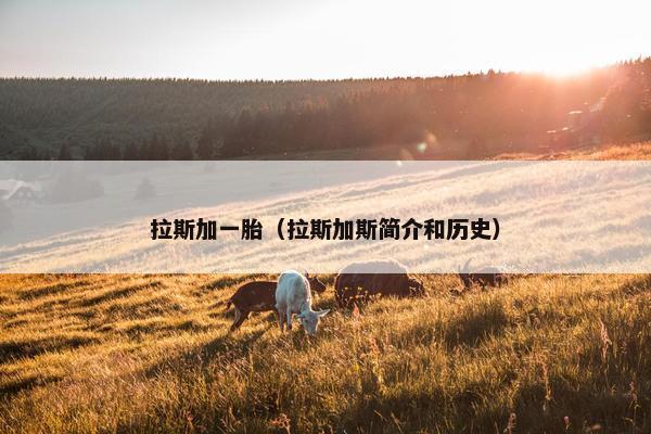 拉斯加一胎（拉斯加斯简介和历史）