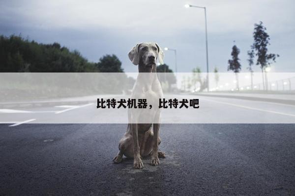 比特犬机器，比特犬吧