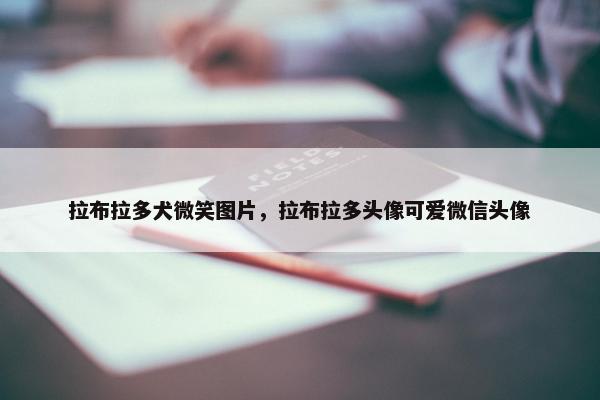 拉布拉多犬微笑图片，拉布拉多头像可爱微信头像