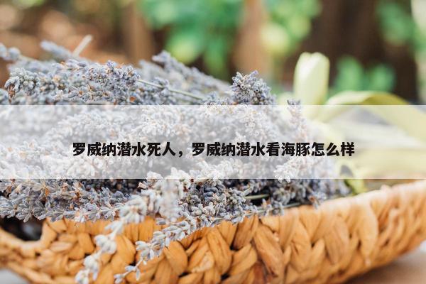 罗威纳潜水死人，罗威纳潜水看海豚怎么样