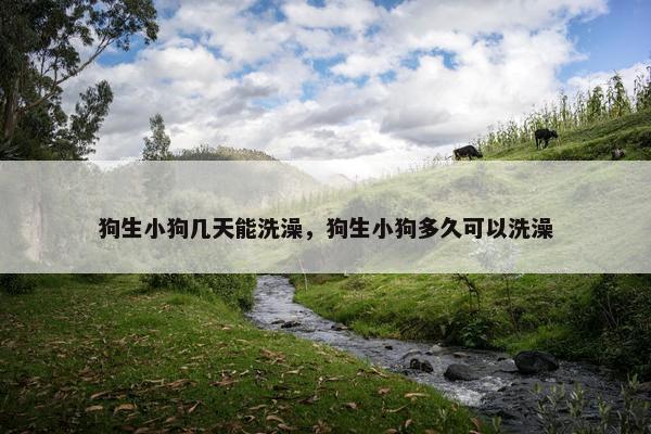 狗生小狗几天能洗澡，狗生小狗多久可以洗澡