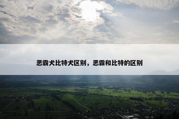 恶霸犬比特犬区别，恶霸和比特的区别