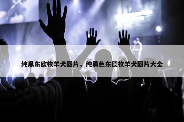 中之王
