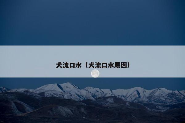 犬流口水（犬流口水原因）