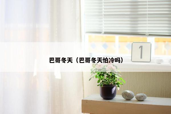 巴哥冬天（巴哥冬天怕冷吗）