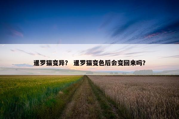 暹罗猫变异？ 暹罗猫变色后会变回来吗？