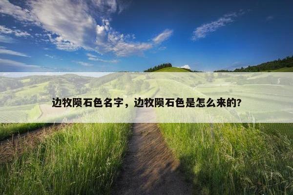 边牧陨石色名字，边牧陨石色是怎么来的?