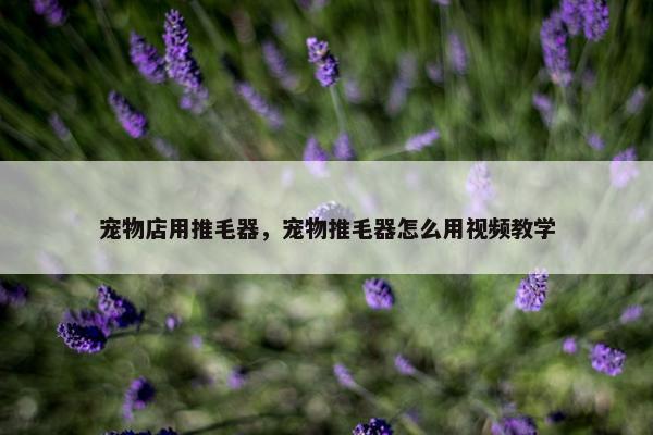 宠物店用推毛器，宠物推毛器怎么用视频教学