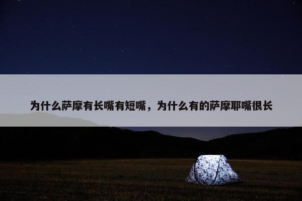 为什么萨摩有长嘴有短嘴，为什么有的萨摩耶嘴很长