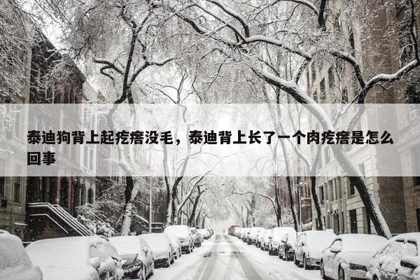 泰迪狗背上起疙瘩没毛，泰迪背上长了一个肉疙瘩是怎么回事