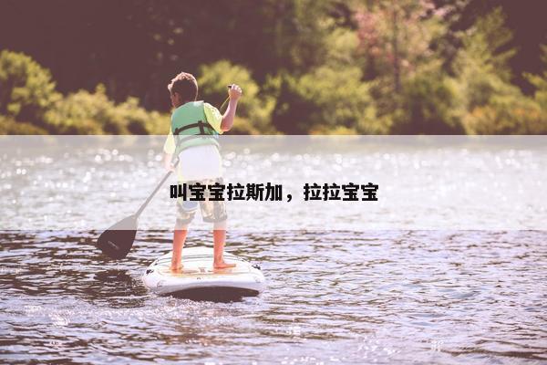 叫宝宝拉斯加，拉拉宝宝