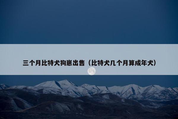 三个月比特犬狗崽出售（比特犬几个月算成年犬）
