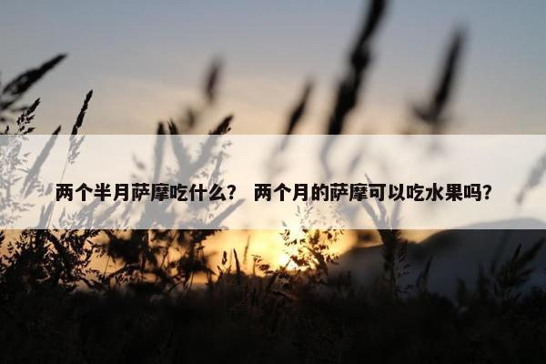 两个半月萨摩吃什么？ 两个月的萨摩可以吃水果吗？