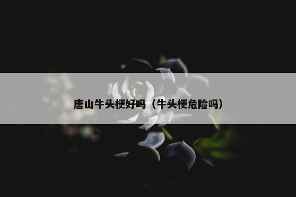 唐山牛头梗好吗（牛头梗危险吗）