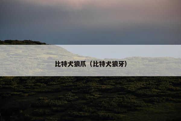 比特犬狼爪（比特犬狼牙）
