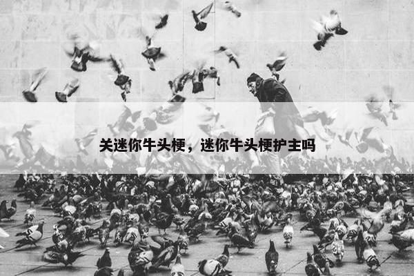 关迷你牛头梗，迷你牛头梗护主吗