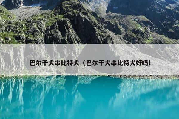 巴尔干犬串比特犬（巴尔干犬串比特犬好吗）
