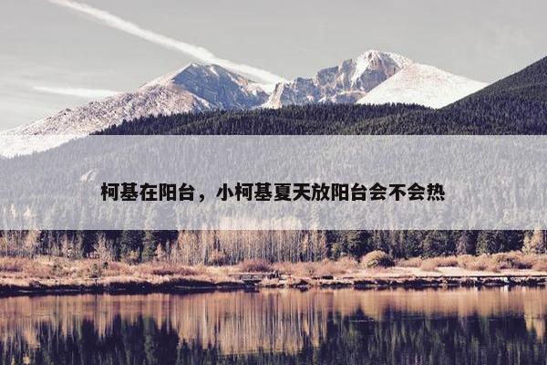 柯基在阳台，小柯基夏天放阳台会不会热