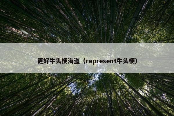 更好牛头梗海盗（represent牛头梗）