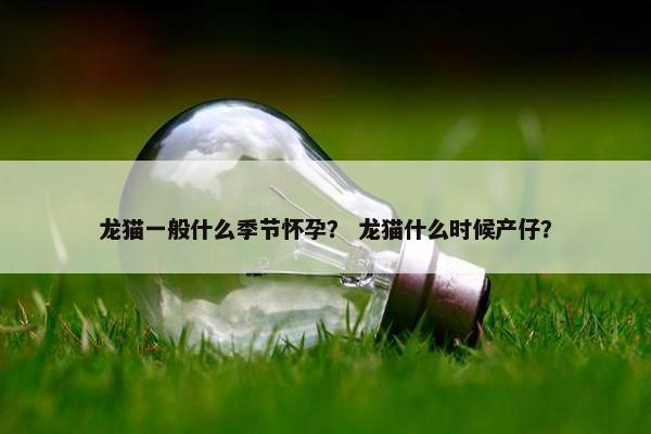龙猫一般什么季节怀孕？ 龙猫什么时候产仔？