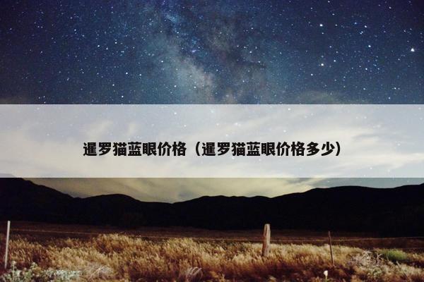 暹罗猫蓝眼价格（暹罗猫蓝眼价格多少）