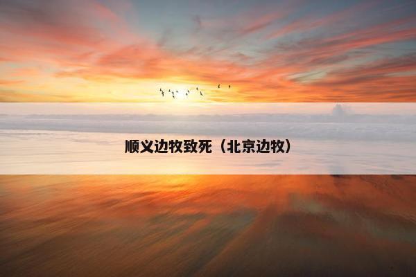顺义边牧致死（北京边牧）