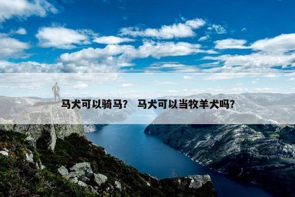 马犬可以骑马？ 马犬可以当牧羊犬吗？