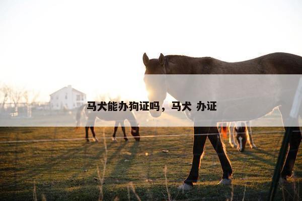 马犬能办狗证吗，马犬 办证