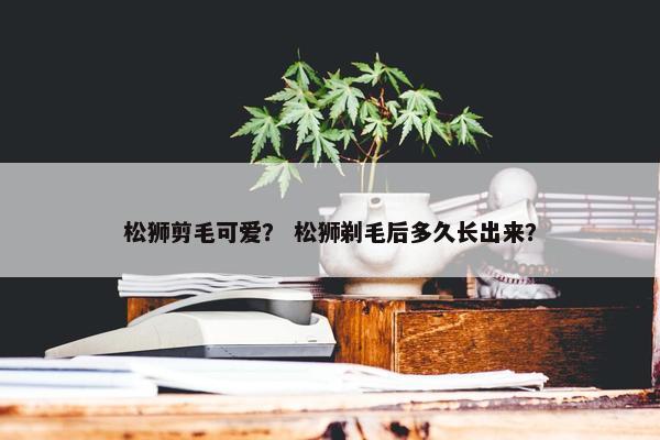 松狮剪毛可爱？ 松狮剃毛后多久长出来？