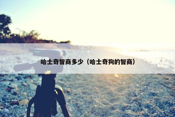 哈士奇智商多少（哈士奇狗的智商）