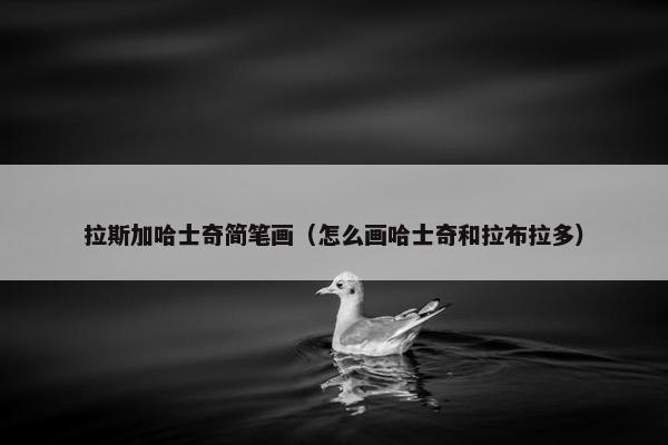 拉斯加哈士奇简笔画（怎么画哈士奇和拉布拉多）