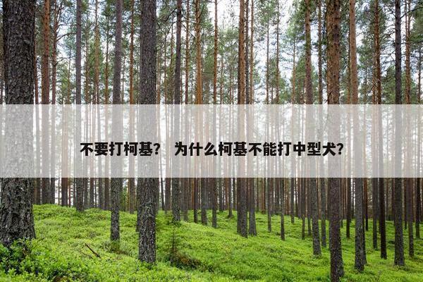 不要打柯基？ 为什么柯基不能打中型犬？